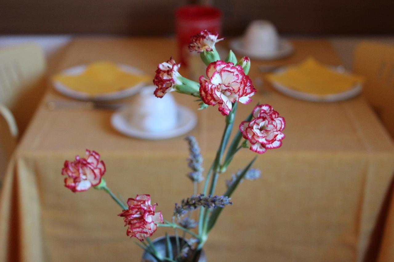 Garni Domus Mea Hotel เมราโน ภายนอก รูปภาพ